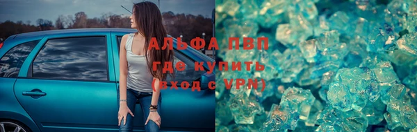 молекула духа Богданович