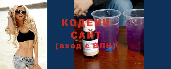 молекула духа Богданович