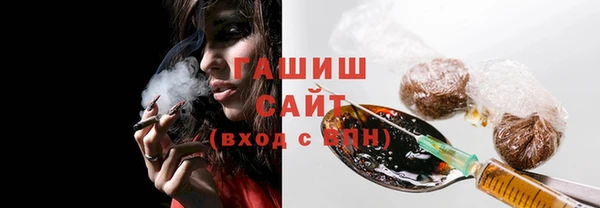 молекула духа Богданович