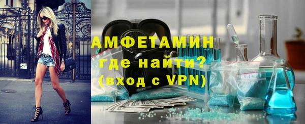 молекула духа Богданович