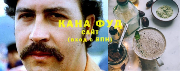 молекула духа Богданович