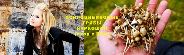 ALPHA PVP Бородино