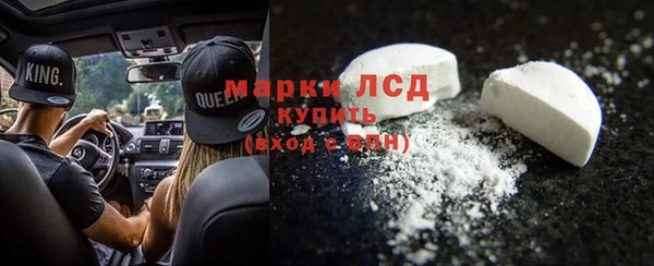 молекула духа Богданович