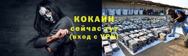 ALPHA PVP Бородино