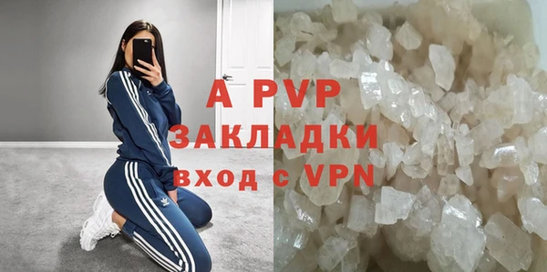 ECSTASY Богородицк