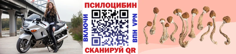 Купить где  Мураши  Галлюциногенные грибы MAGIC MUSHROOMS 